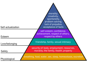 Pyramid of needs. Base, physiological (breathing, food, water, sex, sleep, homeostasis, excretion); second level, safety; third level, love and belonging; fourth level, esteem; fifth level, self-actualization (including creativity and problem solving)